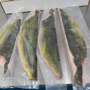 Mahi Mahi