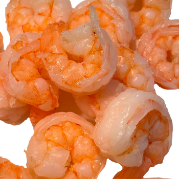 Molluscs & Shellfish
