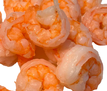 Molluscs & Shellfish